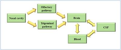 Design and Application in Delivery System of Intranasal Antidepressants